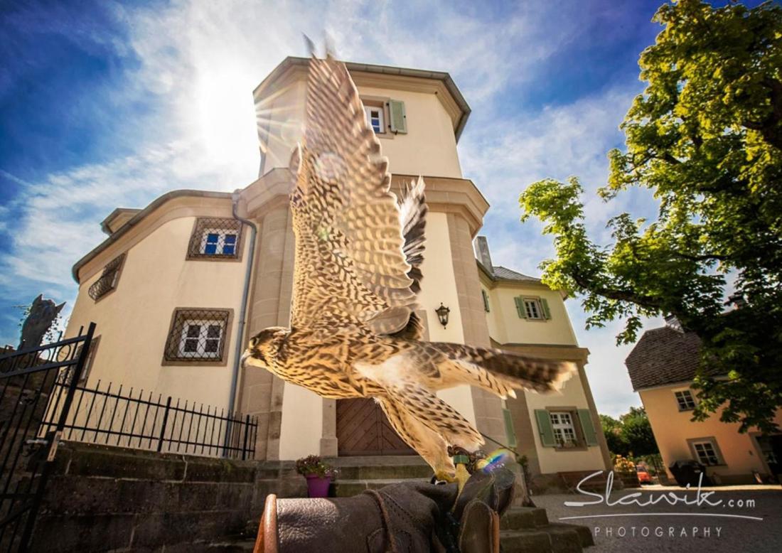 Schloss Falkenhaus Bad Berneck im Fichtelgebirge Eksteriør billede
